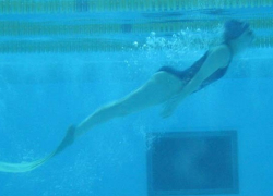 Кубанские ихтиандры поборолись за драгоценный металл 