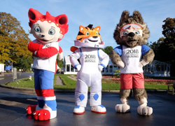 Власти Кубани выделят более 230 миллионов рублей на фестиваль футбольных болельщиков в Сочи