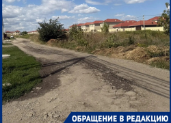 «Вынуждены ходить по полю с бездомными собаками»: в Динском районе детей лишили школьного автобуса