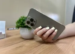 WhatsApp* испытывает нервы жителей Краснодара на прочность 