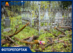 Автомобильные шины, груды мусора и заваленные ветками могилы: в Краснодаре готовятся к Радонице