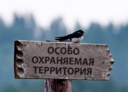 На Кубани создадут 40 новых особо охраняемых природных зон 