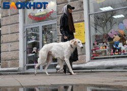 Стало известно, когда в Краснодар придет похолодание 