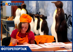 Все в шоколаде: выставка сладостей открылась в Краснодаре