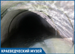 Под угрозой безопасность рыб в озере Абрау под Новороссийском