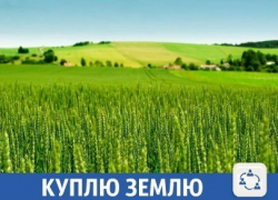 Фермер хочет купить землю в Гулькевичском районе
