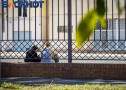 В Краснодарском крае со школ собирают личные данные детей и их родителей