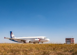 Стая птиц атаковала самолет, летевший в Геленджик