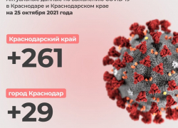 На Кубани за сутки жертвами коронавируса стали 261 человек