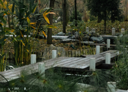 Резкий скачок температуры ожидается в Краснодаре