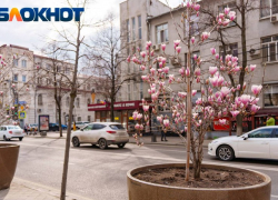 Тепло до +11 ворвётся в Краснодар