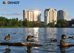 В Краснодаре Билайн нарастил сеть в районах с плотной городской застройкой