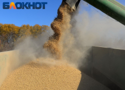 Цены на все виды хлеба взметнулись в Краснодаре