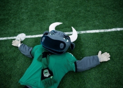 «Быки» сразятся с «Арсеналом» на московском поле