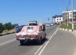 В Анапе испуганного циркового медвежонка катали на капоте 