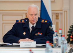 Бастрыкин поручил доложить о нападении собаки на ребенка в Краснодаре  
