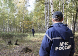 В горах Сочи ищут пропавшего туриста
