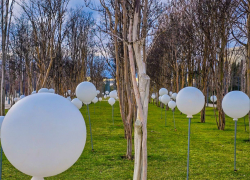 В парке Галицкого установили таблички с названиями растений и QR-кодами