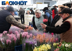 Возле цветочного рынка в Краснодаре собрались пробки