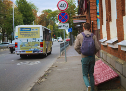 Краснодару предложили создать 24 новые выделенные полосы