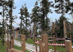 Строительство японского сада в парке «Краснодар» приостановили