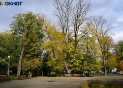 Последний рабочий день в Краснодаре будет солнечным