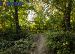 На Кубани продлили ограничение на пребывание жителей в лесах