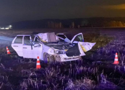 В Адыгее пассажирка авто погибла из-за внезапно выбежавшей лошади