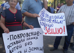  «Спасите нас от концерна «Покровский»: Кубанские фермеры вышли на пикет, не обошлось без провокаций