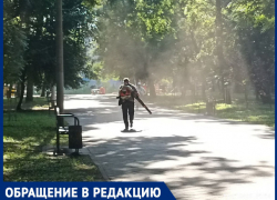 «Аллергики и астматики обходят рощу»: в Краснодаре потребовали запретить уборку парков ветродуями