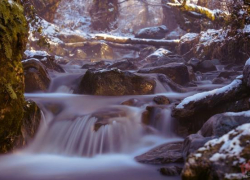 Сказочно красивые фотографии снегопада в Сочи появились в интернете