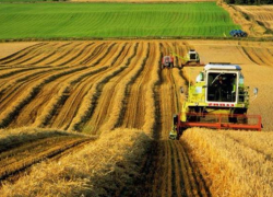 Агропромышленный комплекс Кубани получит более 200 миллионов рублей