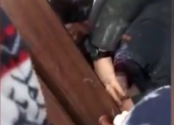  Студенты помогли схватить вора в Краснодаре 