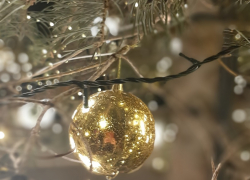 Где искать новогоднее настроение: волшебный парк миллиардера Галицкого в Краснодаре