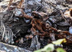 Обломки советского ЛаГГ-3 нашли на Кубани