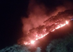  Во время пожара на горе Колдун выгорело 500 кв. м лесной подстилки