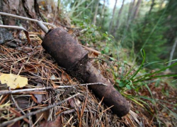 В Туапсе грибник нашел склад боеприпасов времен ВОВ