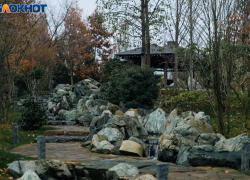 Короткая рабочая неделя начнется с дождя и сильного ветра в Краснодаре 