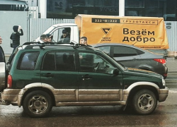  На «зебре» в Краснодаре сбили подростка 