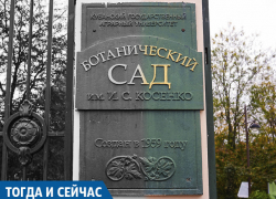 Создания ботанического сада в Краснодаре ждали 43 года