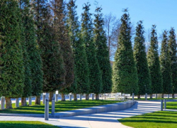 Краснодарский фотограф заснял весеннее преображение парка Галицкого