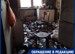 Полчища тараканов и зловонный запах: краснодарец превратил квартиру в многоэтажке в помойку