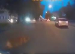 В Краснодаре собака бросилась под колеса мотоцикла