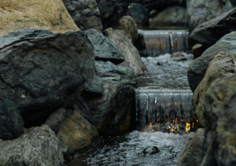 Южный ветер пригонит тепло в Краснодаре