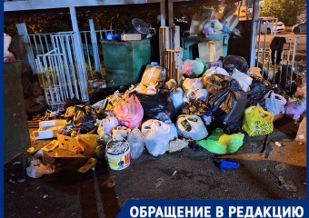 Горы мусора захватывают проезжую часть в Краснодаре