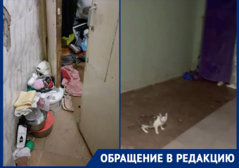 «Как-то стали шевелиться»: УК убрала часть хлама из утопающего в мусоре коридора в многоэтажке Краснодара