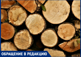 «Комсомольский решили превратить в пустыню», - краснодарка жалуется на тотальную вырубку деревьев
