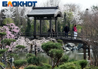 Портал в Азию: Японский сад Галицкого отмечает трёхлетие с момента открытия