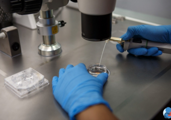 Краснодарцам все чаще требуется донор спермы