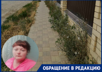 Заброшенный участок около коттеджного поселка мешает гулять маме с ребенком-инвалидом